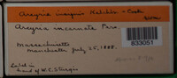 Image Associated With the Occurence
